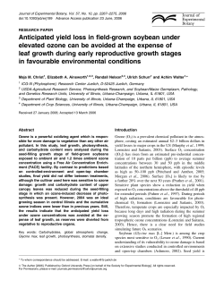 Anticipated yield loss in field-grown soybean under elevated ozone