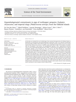 Organohalogenated contaminants in eggs of rockhopper penguins