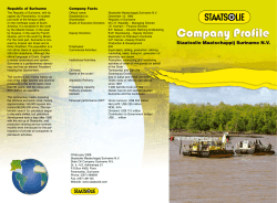 Company Facts Republic of Suriname