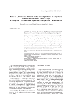 Notes on Chromosome Numbers and C