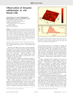 Observation of dynamic subdomains in red blood cells