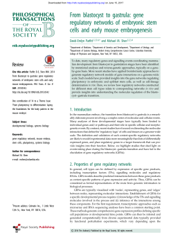 From blastocyst to gastrula: gene regulatory networks of embryonic