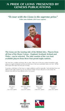 17959 - British Lions Panels