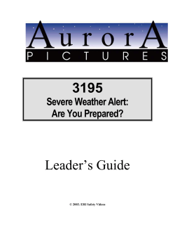 the Leader`s Guide