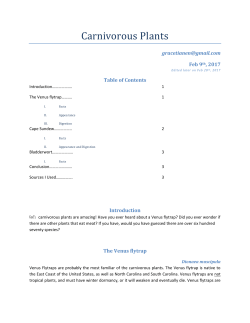 Carnivorous Plants - Easy Peasy All-in