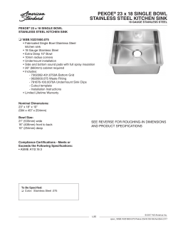 PEKOE&reg; 23 x 18 SINGLE BOWL STAINLESS STEEL KITCHEN SINK
