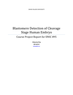 Blastomere Detection of Cleavage Stage Human Embryo