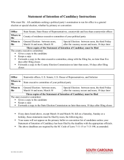 Statement of Intention of Candidacy Instructions