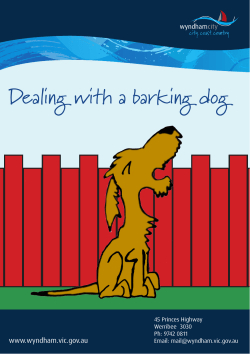 Dealing with a barking dog