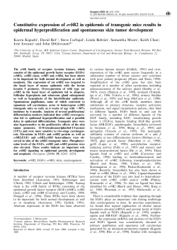 Constitutive expression of erbB2 in epidermis of transgenic