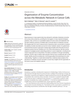 Organization of Enzyme Concentration across the Metabolic