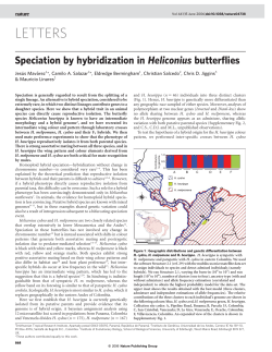 Mavarez_etal2006hybrid speciation heliconius