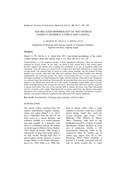 AGE-RELATED MORPHOLOGY OF THE OSTRICH OVIDUCT