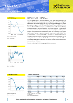 Focus FX - Raiffeisen Bank