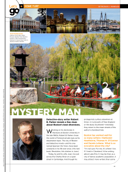 Mystery Man
