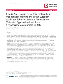 Gyrodactylus salinae