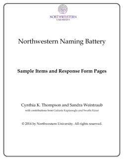 Northwestern Naming Battery (NNB)