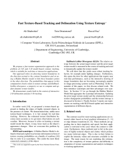 Fast Texture-Based Tracking and Delineation Using Texture Entropy∗