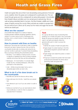 Heath and Grass Fires