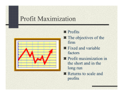 Profit Maximization