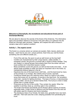 Chlorophylle, the recreational