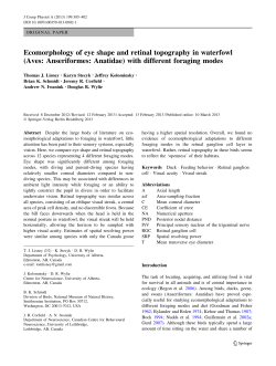 Ecomorphology of eye shape and retinal topography in waterfowl