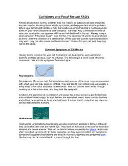 Cat Worms and Fecal Testing FAQ`s
