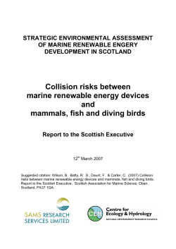 Collision risks between marine renewable energy devices and