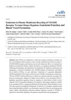 Endosome-to-Plasma Membrane Recycling of VEGFR2 Receptor