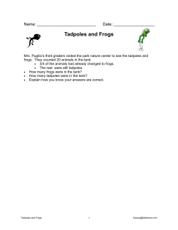 Tadpoles and Frogs
