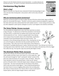 Carnivorous Bog Garden pamphlet