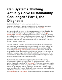 Can Systems Thinking Actually Solve Sustainability Challenges