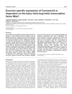 Exocrine specific expression of Connexin32 is dependent on the