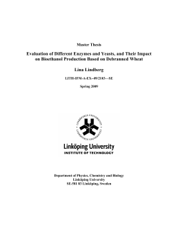 Evaluation of Different Enzymes and Yeasts, and Their
