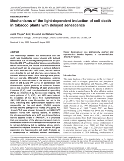 Mechanisms of the light-dependent induction of cell death in