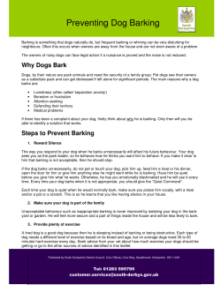 Noise from barking dogs - advice to owners