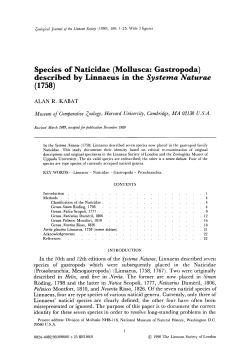 Species of Naticidae (Mollusca: Gastropoda) described by Linnaeus