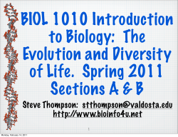 They`re everywhere, including the most extreme places