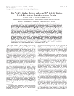The Poly(A)-Binding Protein and an mRNA Stability Protein Jointly