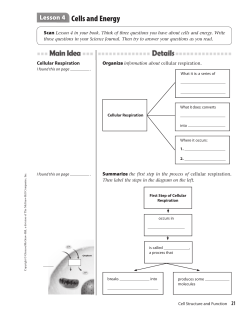 Chap. 6, Lesson 4 Worksheet