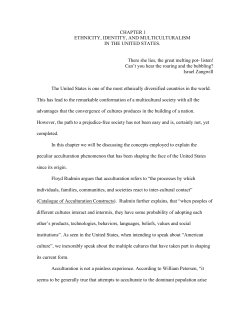CHAPTER 1 ETHNICITY, IDENTITY, AND MULTICULTURALISM IN