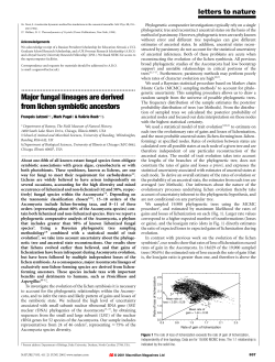 Major fungal lineages are derived from lichen