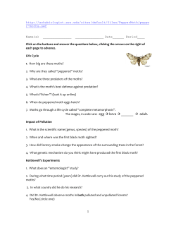 The Case of the Peppered Moth