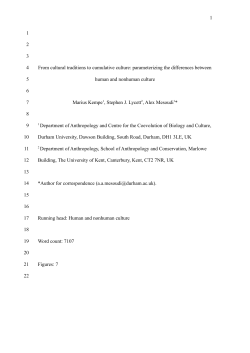 From cultural traditions to cumulative culture: parameterizing the