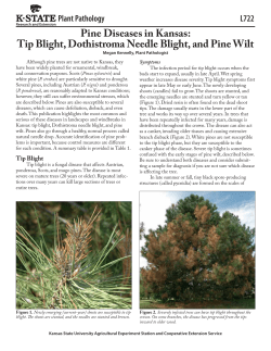 Pine Diseases in Kansas - KSRE Bookstore