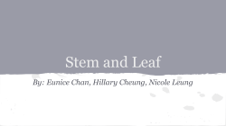 Stem and Leaf
