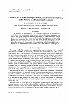 Growth Yield of a Denitrifying Bacterium