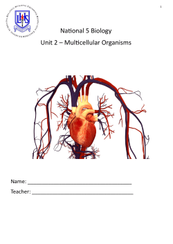 Unit 2 Multicellular Organisms Homework