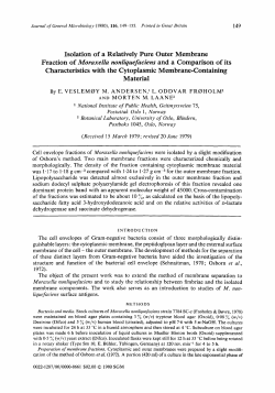 Isolation of a Relatively Pure Outer Membrane Fraction of Moraxella