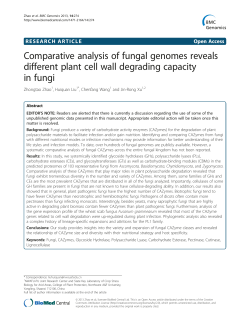 Comparative analysis of fungal genomes reveals